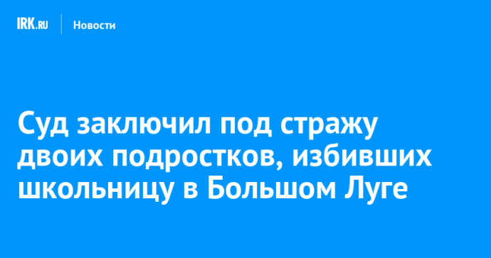 Суд заключил под стражу двоих подростков, избивших школьницу в Большом Луге Суд заключил под стражу двоих подростков, избивших школьницу в Большом Луге