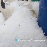 Размером со сливу: Аномальное явление зафиксировано в Приморском крае