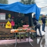 В Петербурге инспекторы ежедневно проводят рейды по выявлению точек незаконной торговли