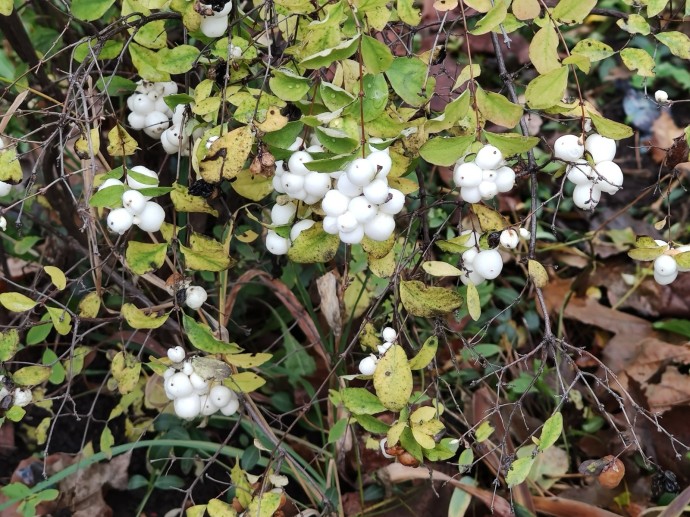 В Башкирии синоптики пообещали удивительную погоду