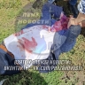Следователи начали проверку по факту нападения на главу Каменского района
