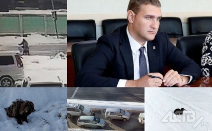 Отставка Ивашова, дорожные войны и необычные пушистики — каким был январь 2025 года