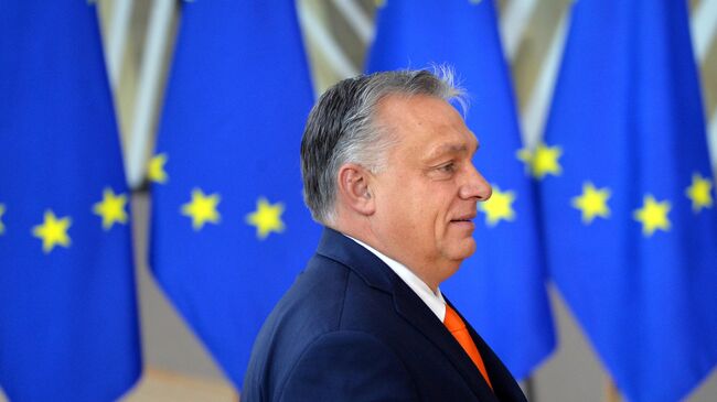 Вступление Украины в ЕС приведет к истощению ресурсов, заявил Орбан