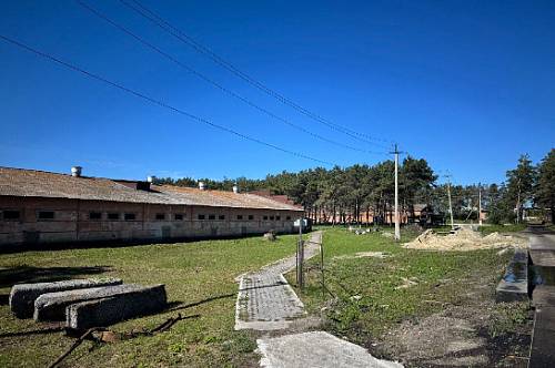 В Приамурье птицефабрику оштрафовали на полмиллиона рублей за нарушение ветеринарных правил