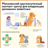 Меконгский бобтейл и шантильи-тиффани: какие породы кошек живут у москвичей