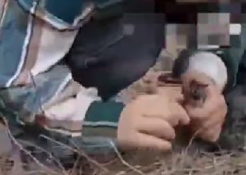 «Мама не заметит»: дети в Приамурье чуть не спалили село