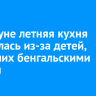 В Куйтуне летняя кухня загорелась из-за детей, игравших бенгальскими огнями