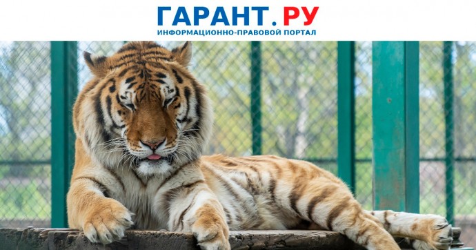 Правила проведения проверок в зоопарках, цирках и океанариумах изменятся