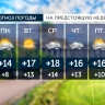 Дождь и прохлада: какая погода ждёт Петербург на следующей неделе