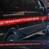 СК расследует убийства мирного жителя в Курской области