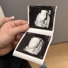 День беременных в Туле: бесплатные мастер-классы и фотосессии для будущих мам