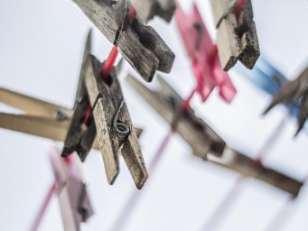 Прищепки помогают закрепить укрывной материал от заморозков — Le Journal des seniors