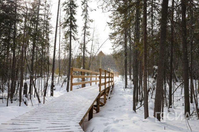 Что можно и нельзя делать в этот день 9 ноября