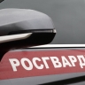 В одном из алкомаркетов Пензы задержали неадекватную агрессивную женщину