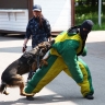 Полицейские рассказали тульским школьникам и учащимся колледжей о своей работе