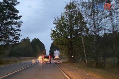 Калужанам советуют избегать походов в лес
