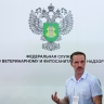65% россиян высоко оценивают работу сотрудников контрольно-надзорных органов
