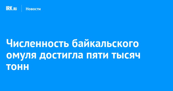 Численность байкальского омуля достигла пяти тысяч тонн Численность байкальского омуля достигла пяти тысяч тонн