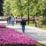 82 тысячи голосов отдали белгородцы за дизайн-проекты благоустройства в 2026 году
