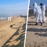 В Анапе подняли со дна моря 108 мешков мазута