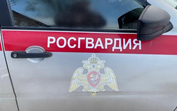 Курские росгвардейцы предотвратили кражи и пресекли более сотни нарушений за неделю