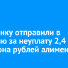 Иркутянку отправили в колонию за неуплату 2,4 миллиона рублей алиментов