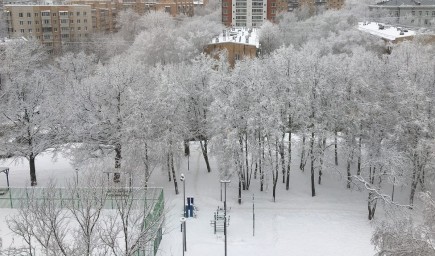 Имеющие отношение к IT и вступающие в силу в декабре законы