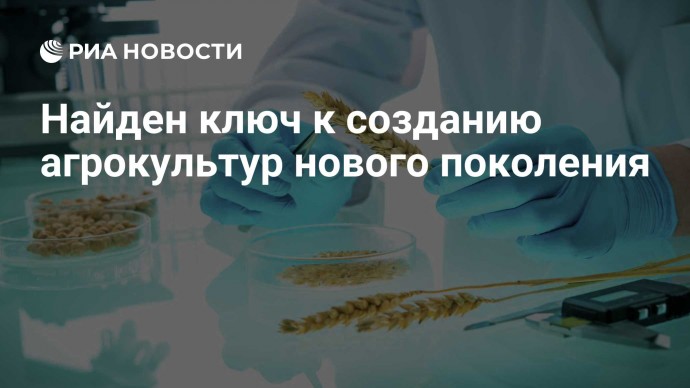 Найден ключ к созданию агрокультур нового поколения