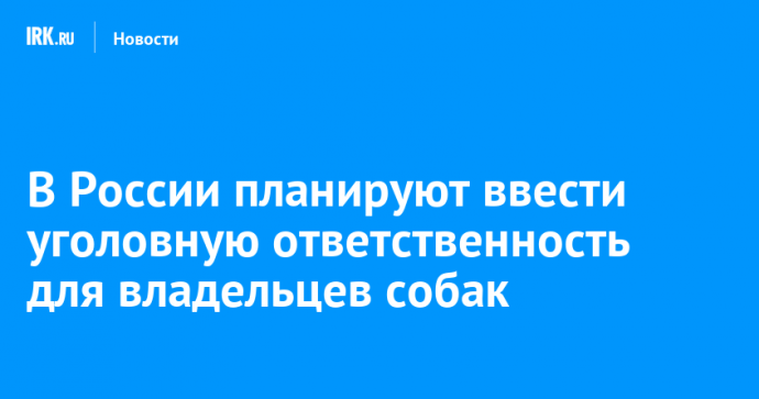 В России планируют ввести уголовную ответственность для владельцев собак