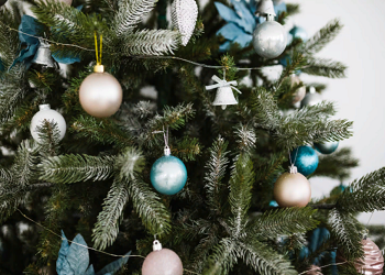 Дети амурских участников СВО посетят главную новогоднюю елку в Кремлевском дворце