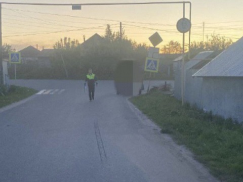 В селе Ельники водитель "девятки" сшиб пешехода и скрылся
