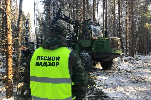 Арендатор лесного участка в Ярославской области возместил более 7 млн рублей за уничтожение молодых деревьев Арендатор лесного участка в Ярославской области возместил более 7 млн рублей за уничтожение молодых деревьев