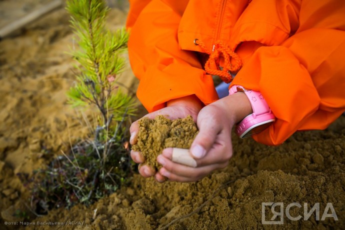 Команда Якутии победила во всероссийском конкурсе школьных лесничеств