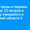 Ливни, грозы и порывы ветра до 20 метров в секунду ожидаются в Иркутской области 6 августа
