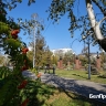 Как отдохнуть белгородцам 19–21 сентября