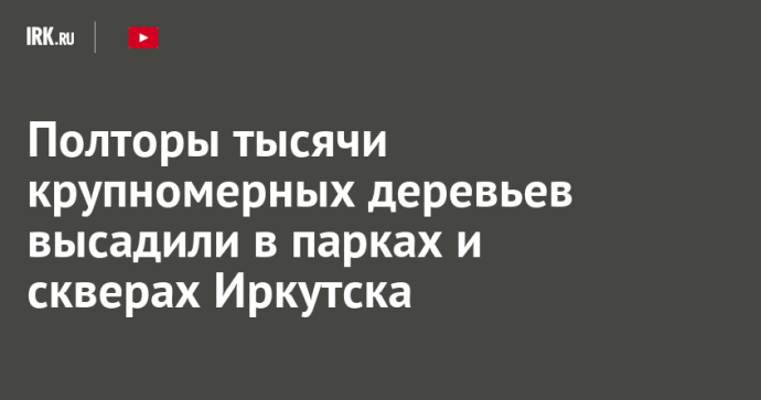 Полторы тысячи крупномерных деревьев высадили в парках и скверах Иркутска