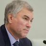 Володин выразил соболезнования в связи с авиакатастрофой в Индии