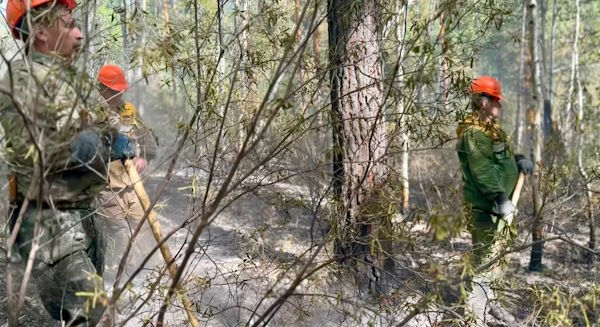 Молния подожгла лес в Бурятии Молния подожгла лес в Бурятии