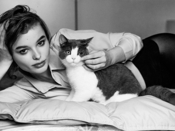 Дефицит ласки снижает выработку гормонов счастья у питомцев — эксперты Дефицит ласки снижает выработку гормонов счастья у питомцев — эксперты