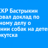 Глава СКР Бастрыкин затребовал доклад по уголовному делу о нападении собак на детей в СНТ Иркутска