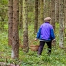 В Башкирии пропала 69-летняя грибница