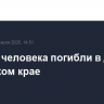 Четыре человека погибли в ДТП в Алтайском крае