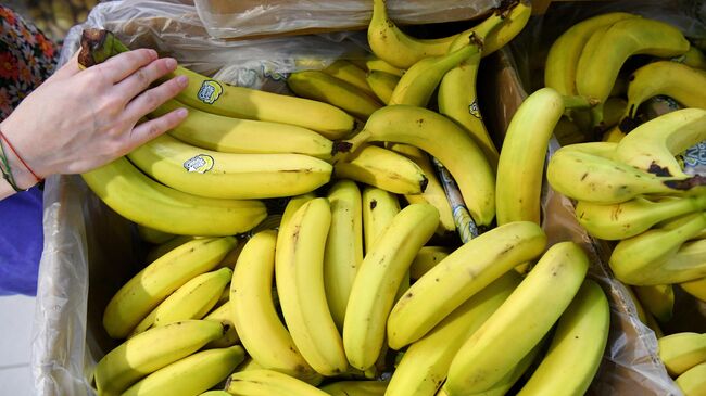 В Роспотребнадзоре рассказали, почему нужно мыть бананы перед едой В Роспотребнадзоре рассказали, почему нужно мыть бананы перед едой