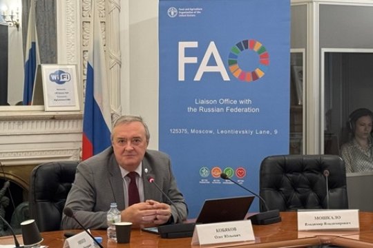 ФАО: 80 лет борьбы с голодом в мире ФАО: 80 лет борьбы с голодом в мире