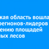 Иркутская область вошла в число регионов-лидеров по увеличению площадей защитных лесов