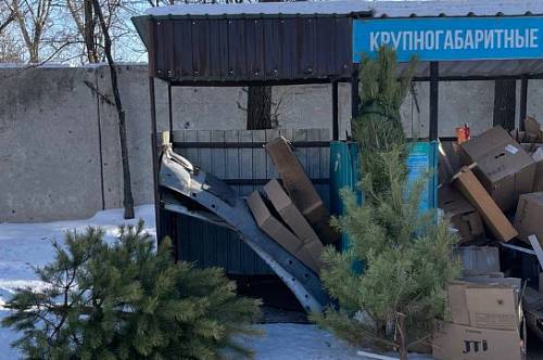 В городах Приамурья жителям объяснили, куда выбрасывать новогодние елки