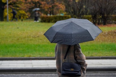 Синоптик Леус: В Москве за прошедшую ночь выпало от 3 до 11 мм осадков