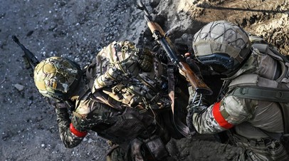 Боевой кот Вася сопровождает российских военных на передовой Боевой кот Вася сопровождает российских военных на передовой