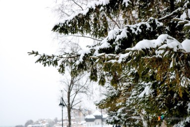16 ноября в Кирове температура воздуха опустится до -4