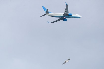 Российская авиакомпания запустила распродажу билетов со скидками до 20 процентов